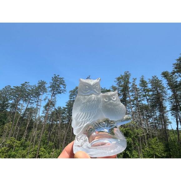 Frosted & Clear Glass Two Owls sitting on branch. Birds. Shelf Decor.Paperweight - Picture 6 of 11
